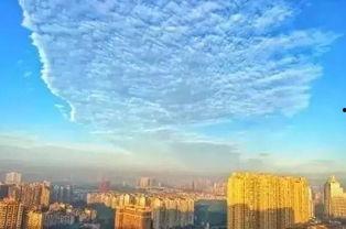 彭州新闻爆料,揭秘当地热点事件背后的真相  第1张