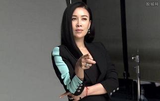 那英事件视频在线观看,网络热议背后的真相揭晓 第2张 那英事件视频在线观看,网络热议背后的真相揭晓 第2张